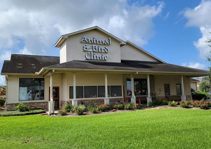 Bird and animal store clinic